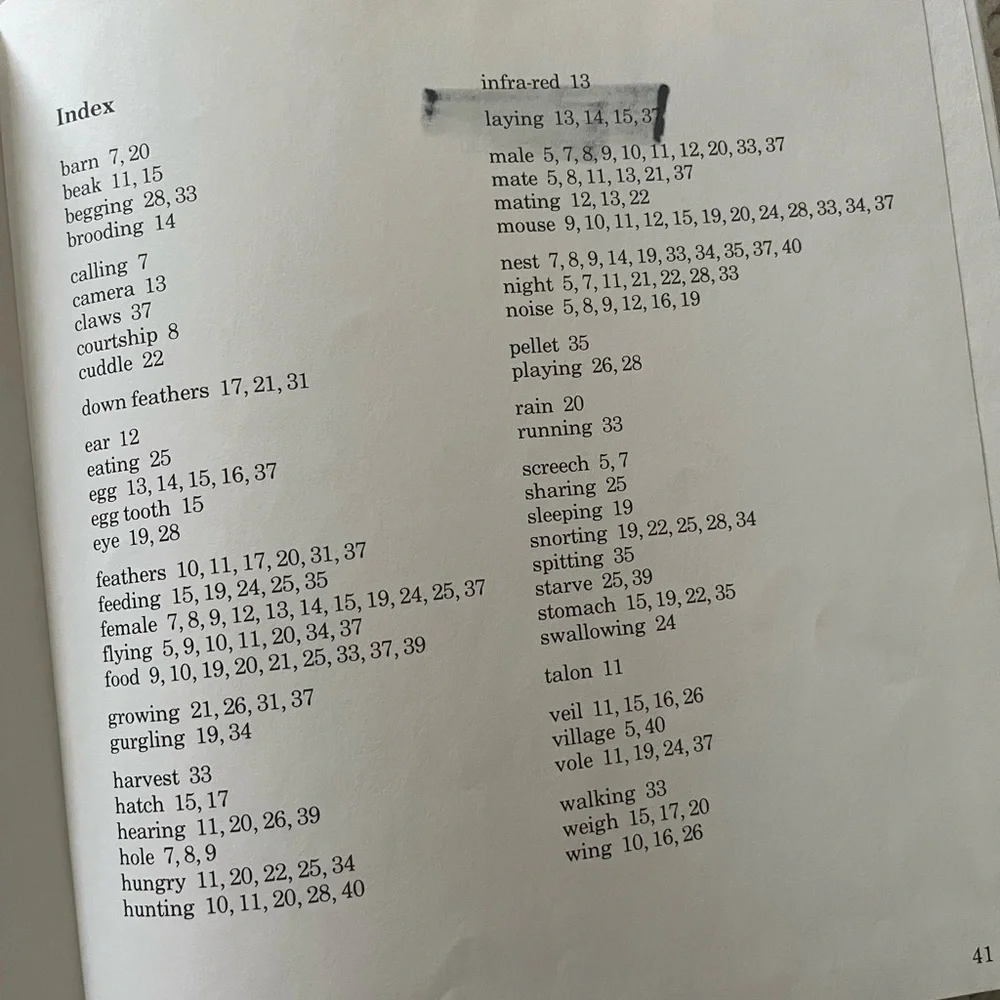 🦉”A Family of Owls” Vintage Children’s Picture Book with Color Photographs🦉 - Picture 12 of 15